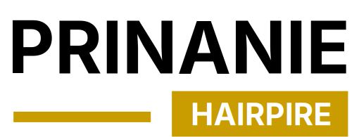 Prinanie Hairpire